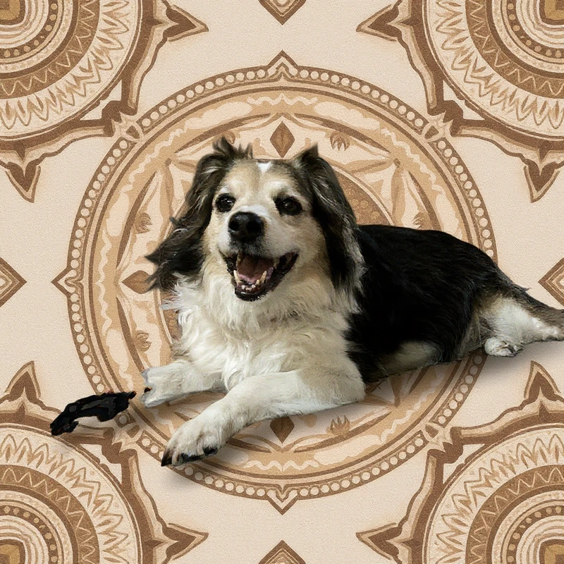 Boho Mandala style example