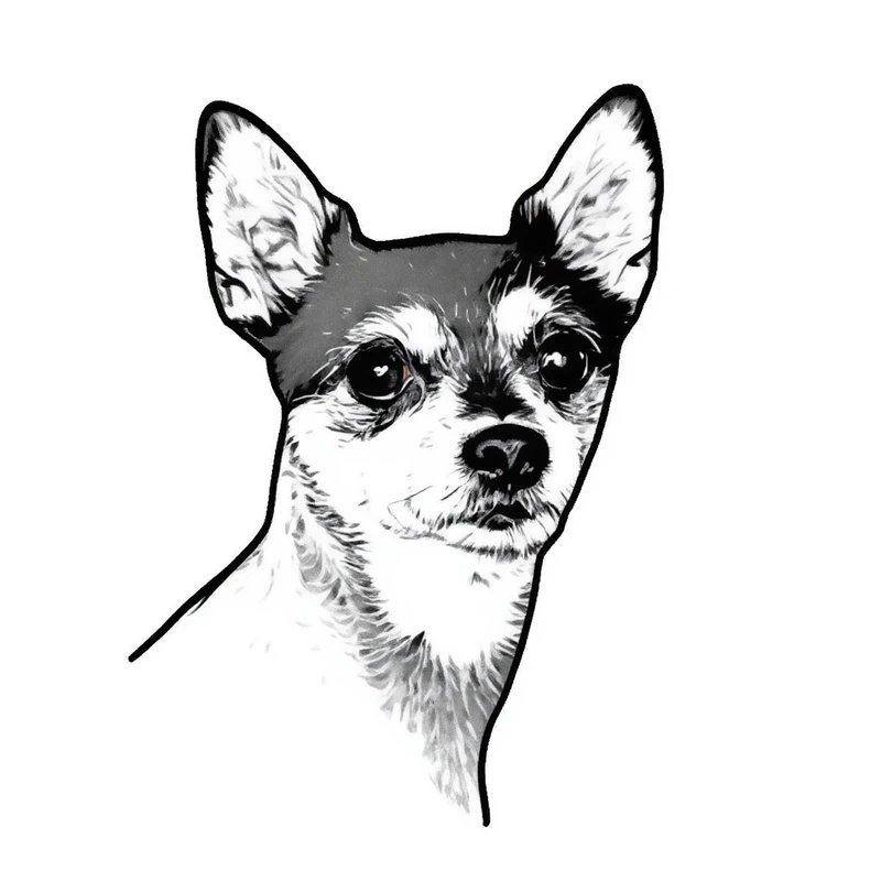 Minimalist Line Art style example